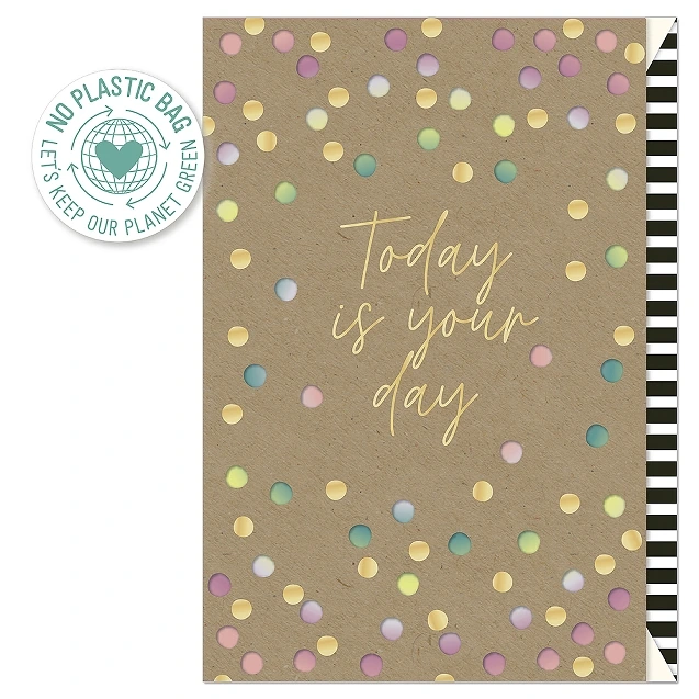 eb5561_bb171bc5704849d69d99c0ba0e5dd219-mv2 Confetti - Imagen 1